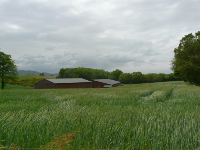 Bâtiment agricole