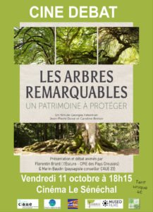 LES ARBRES REMARQUABLES un patrimoine à protéger