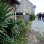 Végétation en bord de route lors de la visite de Champagnat